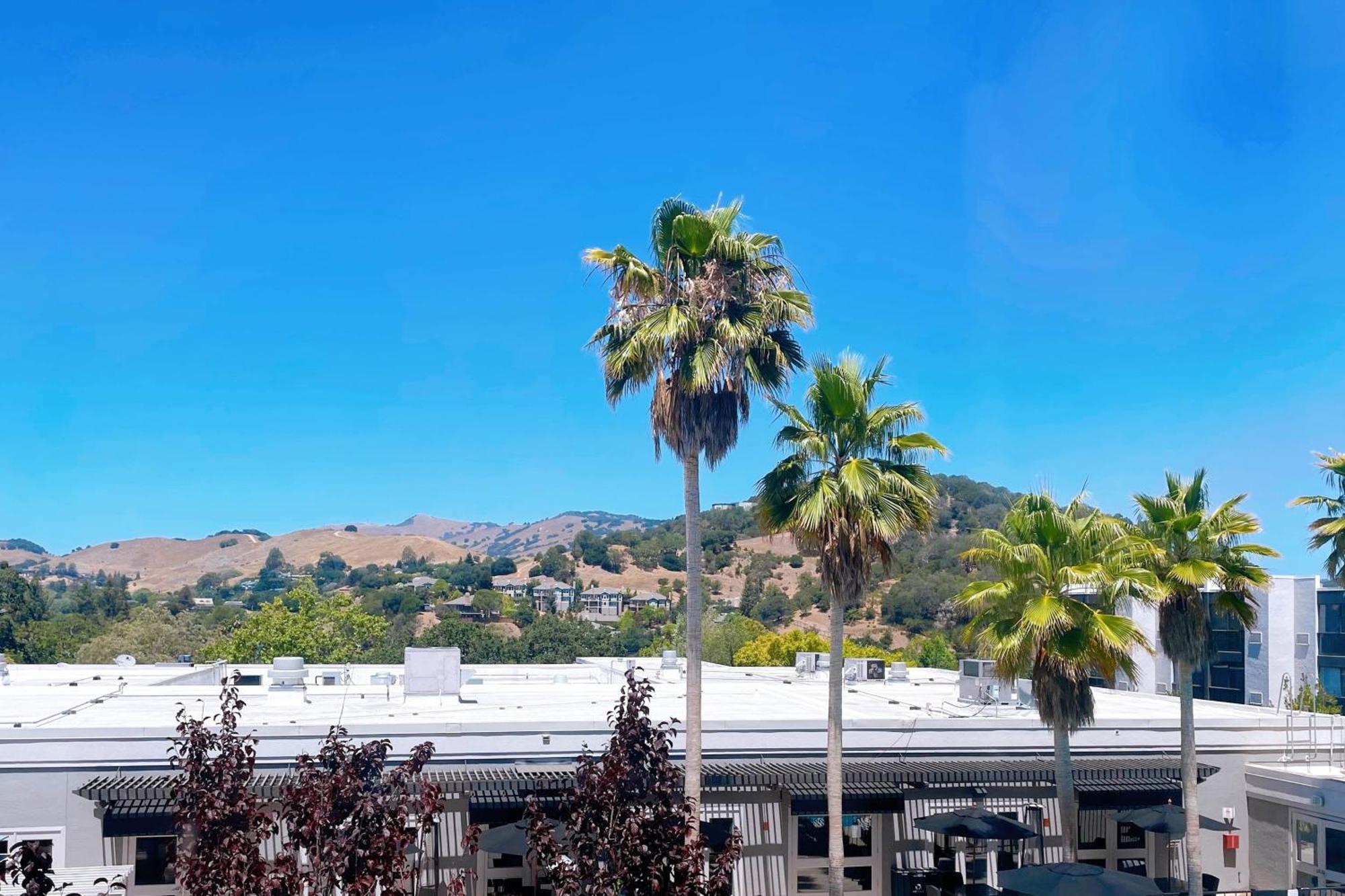 Four Points By Sheraton San Rafael Marin County Экстерьер фото